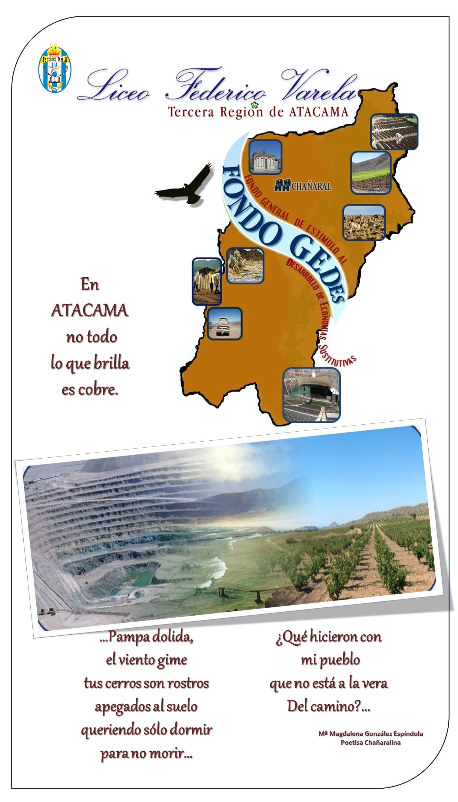 Afiche Atacama